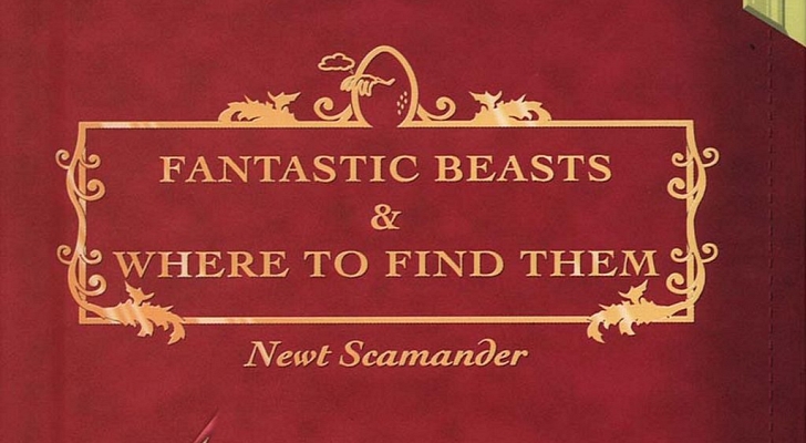 pop culture tragic, harry potter, newt scamander, fantastic beasts, fantastic beasts and where to find them movie, fantastic beasts book, fantastic beasts and where to find them movie, comic relief, jk rowling